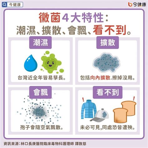 發黴處理|【牆身發霉】有咩原因？白醋有冇用？3種處理方法助。